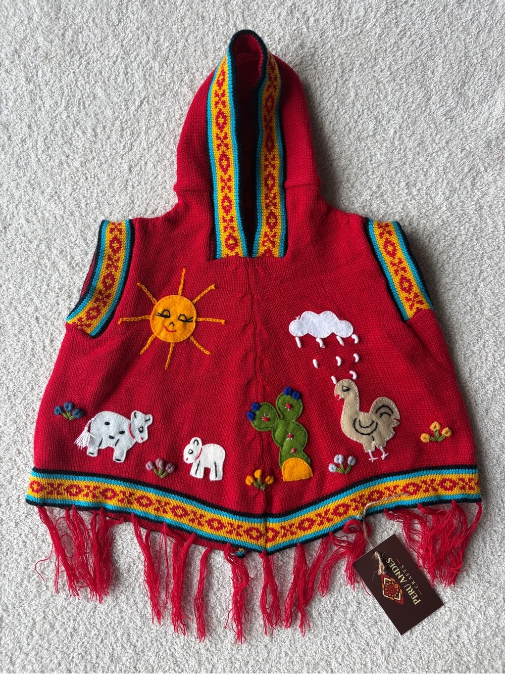 Peruvian Hand Embroidered Kids Hooded Poncho